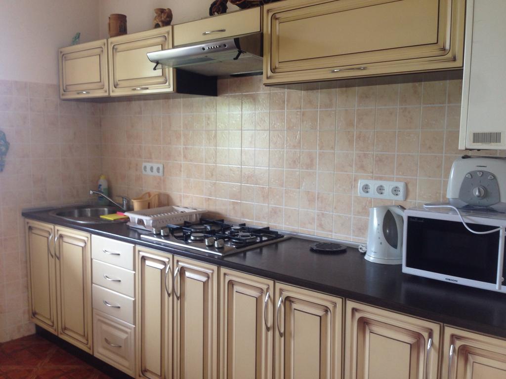 Panorama Townhouse Apartment Polyana  Bagian luar foto