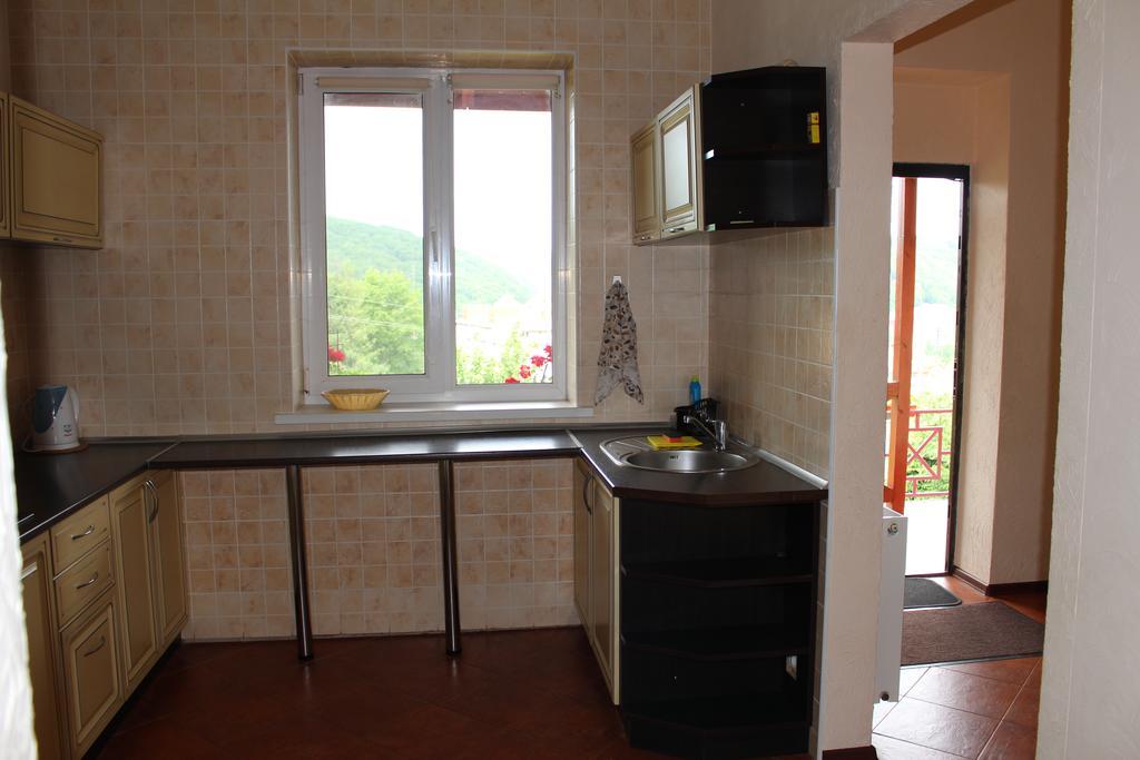 Panorama Townhouse Apartment Polyana  Bagian luar foto